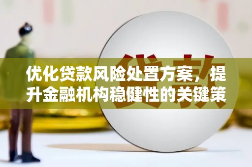 沙田优化贷款风险处置方案，提升金融机构稳健性的关键策略