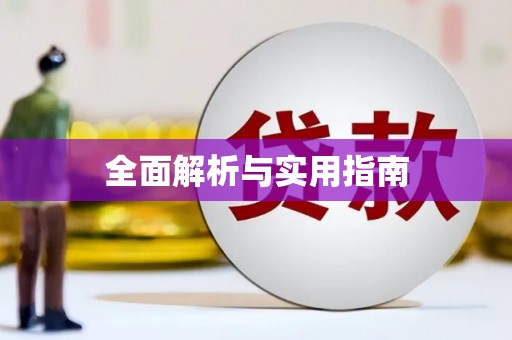 沙田全面解析与实用指南