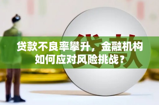 沙田贷款不良率攀升，金融机构如何应对风险挑战？