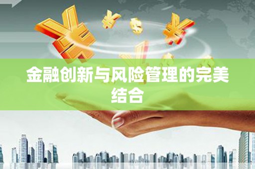 沙田金融创新与风险管理的完美结合