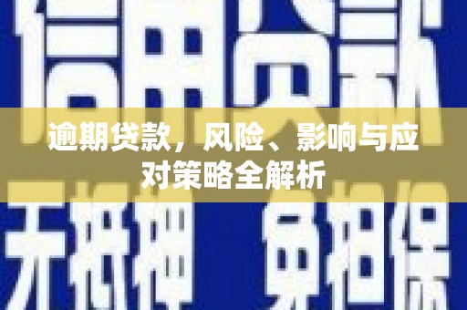 沙田逾期贷款，风险、影响与应对策略全解析