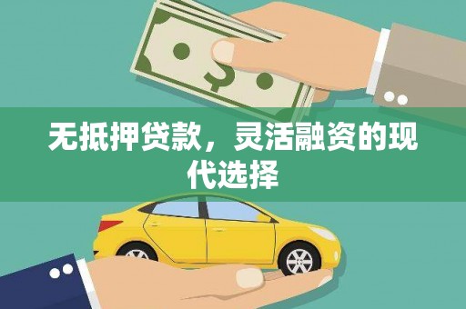 沙田无抵押贷款，灵活融资的现代选择