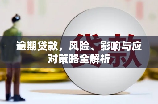 沙田逾期贷款，风险、影响与应对策略全解析