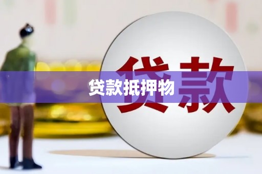 沙田贷款抵押物