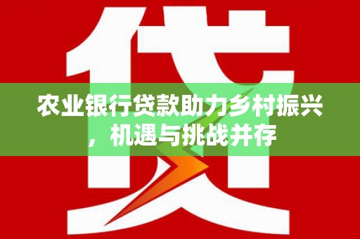 沙田农业银行贷款助力乡村振兴，机遇与挑战并存