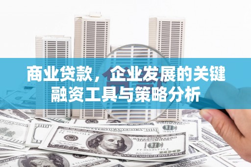 沙田商业贷款，企业发展的关键融资工具与策略分析