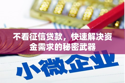 沙田不看征信贷款，快速解决资金需求的秘密武器