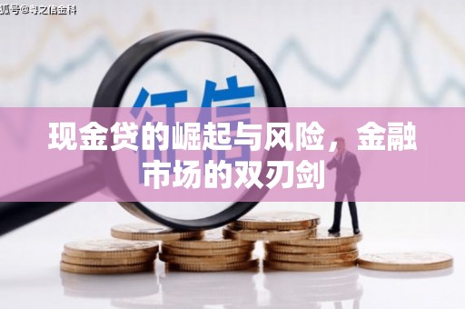 沙田现金贷的崛起与风险，金融市场的双刃剑