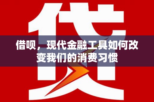 沙田借呗，现代金融工具如何改变我们的消费习惯