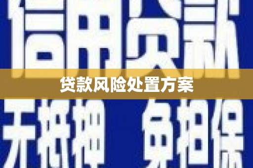 沙田贷款风险处置方案