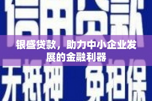 沙田银盛贷款，助力中小企业发展的金融利器