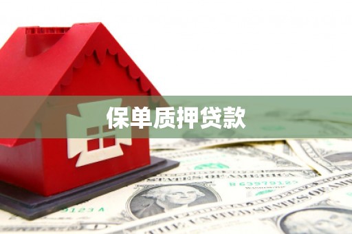 沙田保单质押贷款