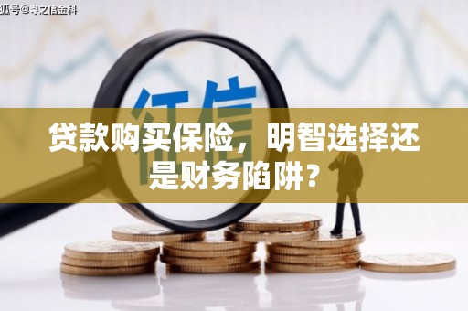 沙田贷款购买保险，明智选择还是财务陷阱？