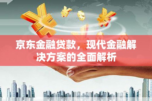 沙田京东金融贷款，现代金融解决方案的全面解析