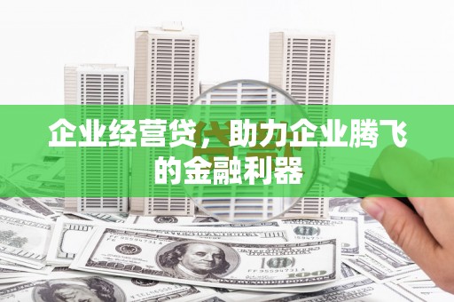 沙田企业经营贷，助力企业腾飞的金融利器