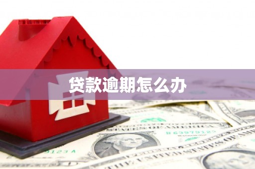 沙田贷款逾期怎么办
