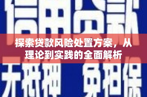 沙田探索贷款风险处置方案，从理论到实践的全面解析
