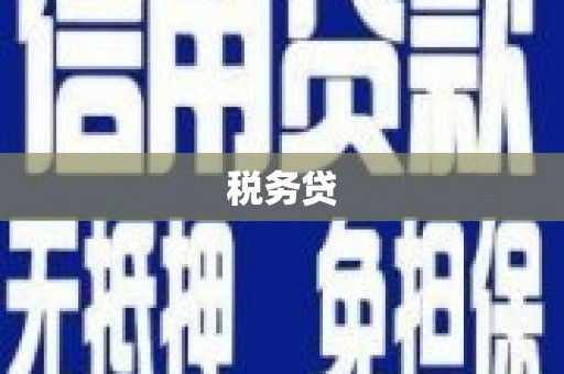 沙田税务贷