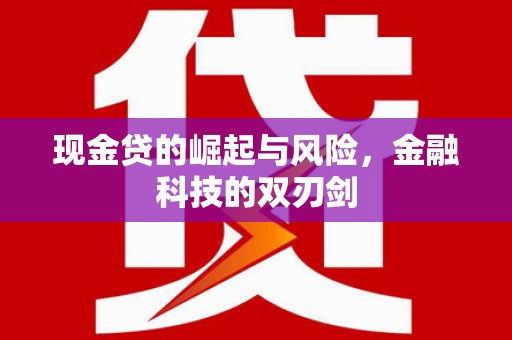 沙田现金贷的崛起与风险，金融科技的双刃剑