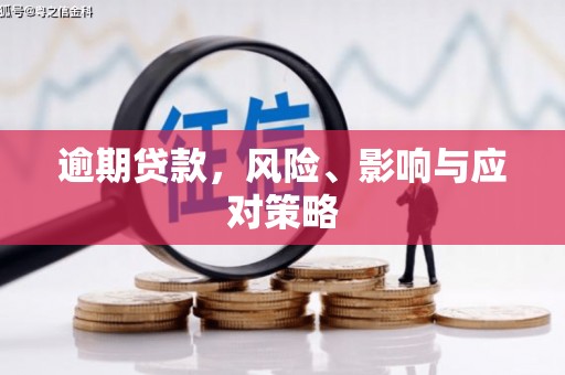 沙田逾期贷款，风险、影响与应对策略