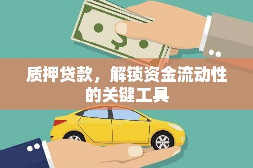 沙田质押贷款，解锁资金流动性的关键工具