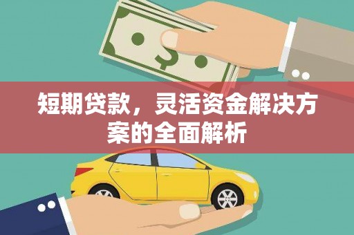 沙田短期贷款，灵活资金解决方案的全面解析