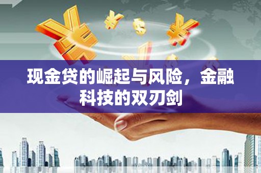 沙田现金贷的崛起与风险，金融科技的双刃剑