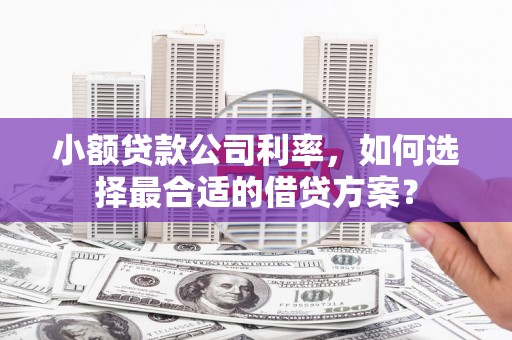 沙田小额贷款公司利率，如何选择最合适的借贷方案？