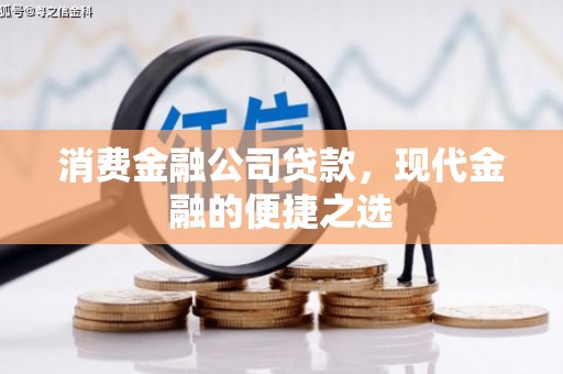 沙田消费金融公司贷款，现代金融的便捷之选