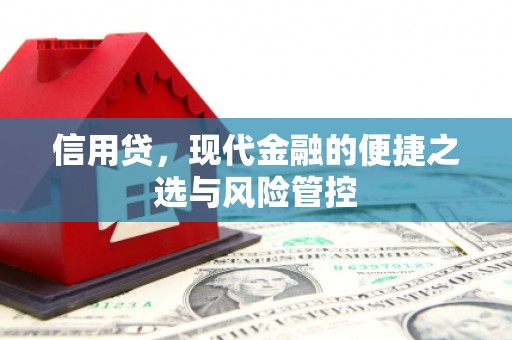 沙田信用贷，现代金融的便捷之选与风险管控