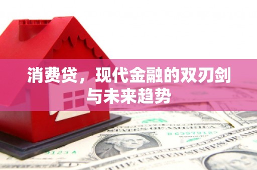沙田消费贷，现代金融的双刃剑与未来趋势