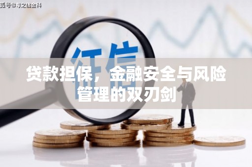 沙田贷款担保，金融安全与风险管理的双刃剑