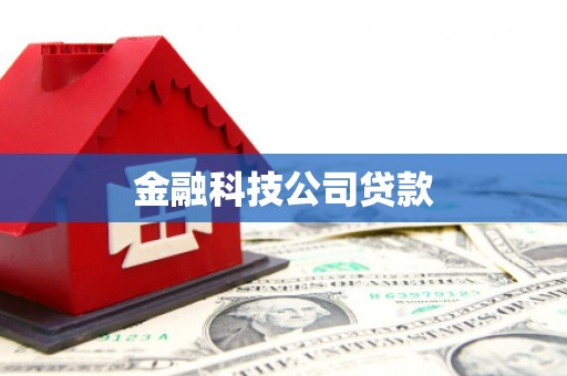 沙田金融科技公司贷款