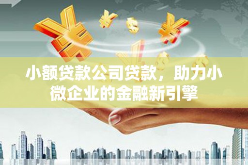 沙田小额贷款公司贷款，助力小微企业的金融新引擎