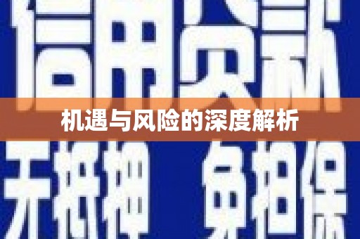 沙田机遇与风险的深度解析
