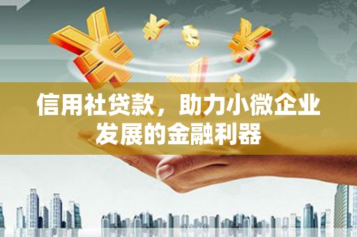 沙田信用社贷款，助力小微企业发展的金融利器