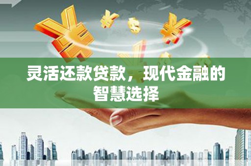 沙田灵活还款贷款，现代金融的智慧选择