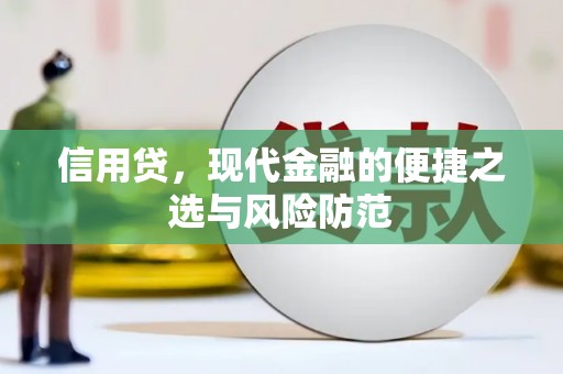 沙田信用贷，现代金融的便捷之选与风险防范