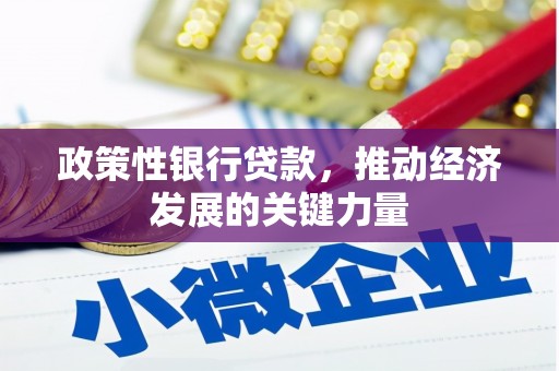沙田政策性银行贷款，推动经济发展的关键力量
