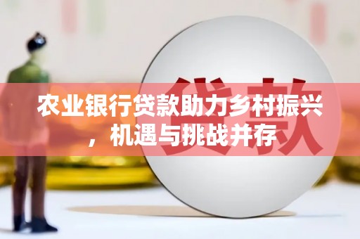 沙田农业银行贷款助力乡村振兴，机遇与挑战并存