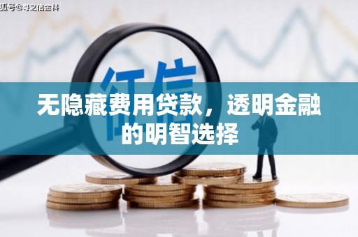 沙田无隐藏费用贷款，透明金融的明智选择