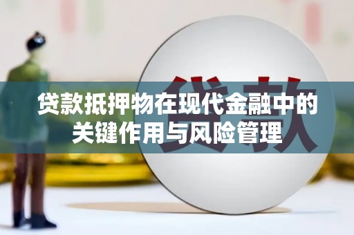 沙田贷款抵押物在现代金融中的关键作用与风险管理