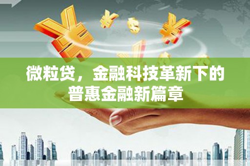 沙田微粒贷，金融科技革新下的普惠金融新篇章
