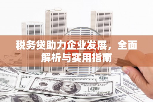 沙田税务贷助力企业发展，全面解析与实用指南