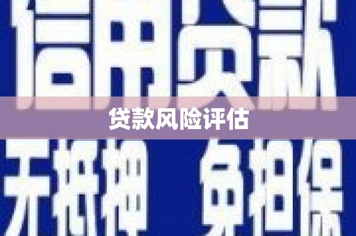 沙田贷款风险评估