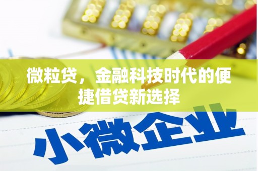 沙田微粒贷，金融科技时代的便捷借贷新选择