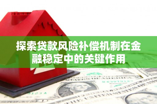 沙田探索贷款风险补偿机制在金融稳定中的关键作用