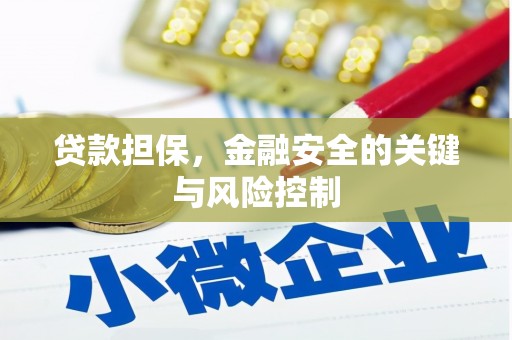 沙田贷款担保，金融安全的关键与风险控制