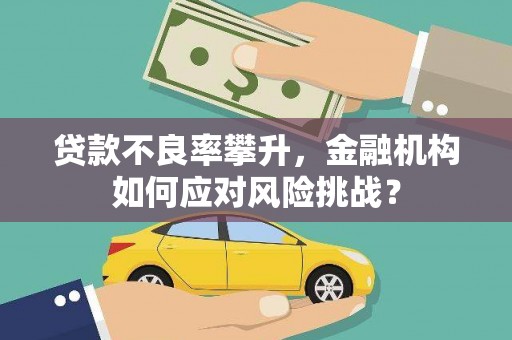 沙田贷款不良率攀升，金融机构如何应对风险挑战？