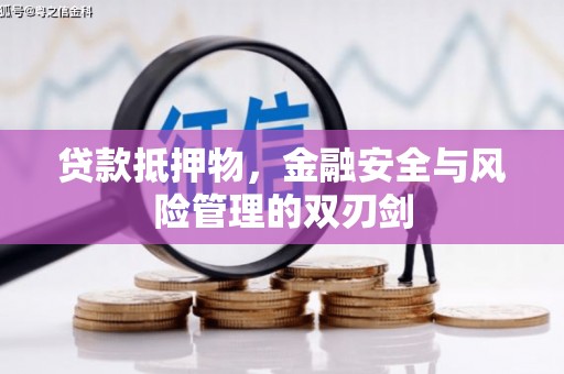 沙田贷款抵押物，金融安全与风险管理的双刃剑
